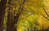 Туры в отель GreenTree Inn Express Hotel (Chengdu North Railway Station Saiyuntai Metro Station)