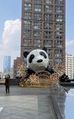 Туры в отель GreenTree Inn Express Hotel (Chengdu North Railway Station Saiyuntai Metro Station)