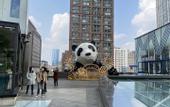 Туры в отель GreenTree Inn Express Hotel (Chengdu North Railway Station Saiyuntai Metro Station)