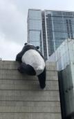 Туры в отель GreenTree Inn Express Hotel (Chengdu North Railway Station Saiyuntai Metro Station)