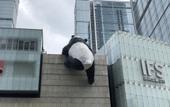 Туры в отель GreenTree Inn Express Hotel (Chengdu North Railway Station Saiyuntai Metro Station)
