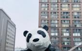 Туры в отель GreenTree Inn Express Hotel (Chengdu North Railway Station Saiyuntai Metro Station)