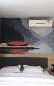 Туры в отель Shankee Hotel (Nanjing Taowu)