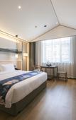 Туры в отель Moshang Qingju Hotel (Xinyang Huaibin West Asia Meiyue Plaza County Government Store)