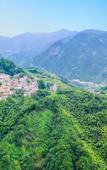 Туры в отель Floral Hotel ·Baimaya Fengxiang Yard hotel