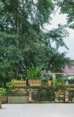 Туры в отель Floral Hotel ·Baimaya Fengxiang Yard hotel