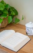 Туры в отель Floral Hotel ·Baimaya Fengxiang Yard hotel