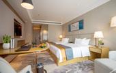 Туры в отель Wuhan Furama Shanshui Hotel (Wangjiawan Wuhan International Expo Center Branch)