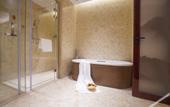 Туры в отель Wuhan Furama Shanshui Hotel (Wangjiawan Wuhan International Expo Center Branch)