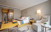 Туры в отель Wuhan Furama Shanshui Hotel (Wangjiawan Wuhan International Expo Center Branch)