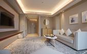 Туры в отель Wuhan Furama Shanshui Hotel (Wangjiawan Wuhan International Expo Center Branch)