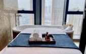 Туры в отель Wuhan Furama Shanshui Hotel (Wangjiawan Wuhan International Expo Center Branch)