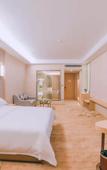 Туры в отель Vienna International Hotel (Sanmenxia South Station Branch)