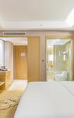 Туры в отель Vienna International Hotel (Sanmenxia South Station Branch)