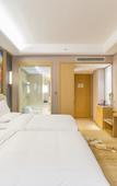 Туры в отель Vienna International Hotel (Sanmenxia South Station Branch)