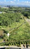 Туры в отель Midea Egret Lake LN Dongfang ,Foshan