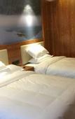 Туры в отель Home Inn Huaxuan Collection Hotel (Nanjing Jiangning Longhu Tianjie Branch)