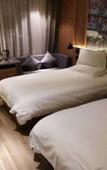 Туры в отель Home Inn Huaxuan Collection Hotel (Nanjing Jiangning Longhu Tianjie Branch)