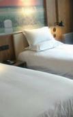 Туры в отель Home Inn Huaxuan Collection Hotel (Nanjing Jiangning Longhu Tianjie Branch)