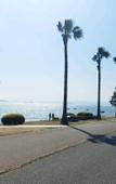 Туры в отель Xiamen Buluoju Chinese Inn (Island Ring Road Huangcuo Beach)