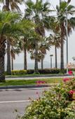 Туры в отель Xiamen Buluoju Chinese Inn (Island Ring Road Huangcuo Beach)