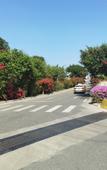 Туры в отель Xiamen Buluoju Chinese Inn (Island Ring Road Huangcuo Beach)