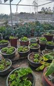 Туры в отель Xiamen Buluoju Chinese Inn (Island Ring Road Huangcuo Beach)
