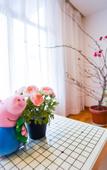 Туры в отель COCO INN