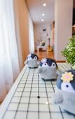 Туры в отель COCO INN