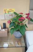 Туры в отель Huaqianshu Youth Hotel (Guilin Liangjiang International Airport Branch)