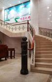 Туры в отель Minggang Zhongzhou International Hotel