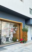 Туры в отель GOCCI HOTEL