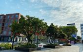 Туры в отель GOCCI HOTEL