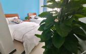 Туры в отель Sansheng Hotel