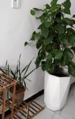 Туры в отель Sansheng Hotel