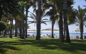 Туры в отель Louis Phaethon Beach