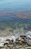 Туры в отель Nanpuwan Resort Hotel (Nansha Blue Sapphire Beach Double-Occupancy Pier Store)