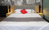 Туры в отель Shankee Hotel (Luliang Fenyang Medical University Fenyang College)