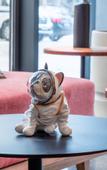 Туры в отель ANNS GO HOTEL