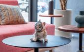 Туры в отель ANNS GO HOTEL