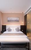 Туры в отель Rezen Langyue Garden Hotel Shenzhen Pingdi Liulian Subway Station