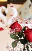 Туры в отель Rezen Langyue Garden Hotel Shenzhen Pingdi Liulian Subway Station
