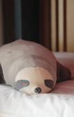 Туры в отель HUALUXE Hotels and Resorts SUZHOU BAY HOT SPRING RESORT BY IHG