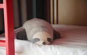 Туры в отель HUALUXE Hotels and Resorts SUZHOU BAY HOT SPRING RESORT BY IHG