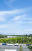 Туры в отель Riste Hotel (Luoxin industrial cluster, Xin'an County)