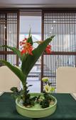 Туры в отель Zhouzhuang SCHOLARS BOUTIQUE Hotel