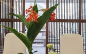 Туры в отель Zhouzhuang SCHOLARS BOUTIQUE Hotel