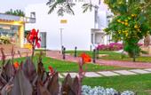 Туры в отель Coral Beach Resort Tiran