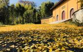 Туры в отель Floral · Huajian Homestay (Yixing Zhuhai Scenic Area)