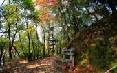 Туры в отель Floral Hotel · Yongjingyuan Hotel(Tunxi Old Street store)